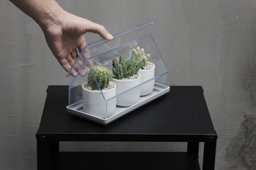 Лоток для выращивания растений micro green house прозрачный фото 2