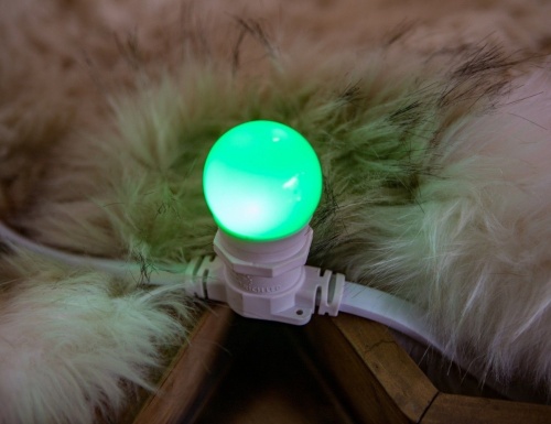 Светодиодная лампа для Белт-лайта Rich LED, d-45 мм, 1 Вт, Е27, Rich LED фото 3