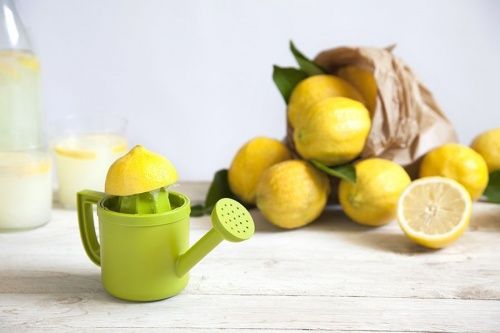 Соковыжималка для лимонов lemoniere, PE600 фото 20