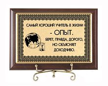 Плакетка подарочная "Самый хороший в жизни учитель" (сублимация) - размеры 17*12 см, материалы МДФ и металл, цвета коричневый и золотой