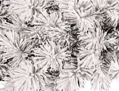 Гирлянда хвойная "Орегон" заснеженная (хвоя - леска), 270х35 см, A Perfect Christmas фото 3