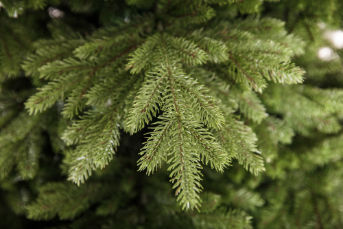 Искусственная Ель Эвита, Crystal Trees фото 3