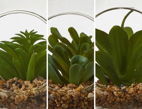 Элитное искусственное растение "Суккулент в шаре",12.5х12 см, Edelman фото 2