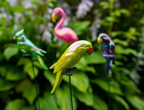 Садовый штекер "Попугай", пластик, 17x5x3 см, высота 60 см, Kaemingk