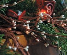 Blachere Orange Berries on brown Гирлянда L4 Ogange