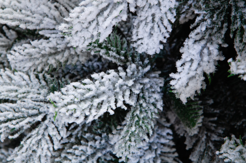 Искусственная ель Власта заснеженная с вплетенной гирляндой, Crystal Trees фото 6