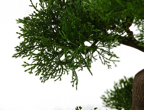 Элитное искусственное растение "Бонсай" (хвойный) в белом кашпо, пластик, керамика, 32х33 см, Boltze фото 2