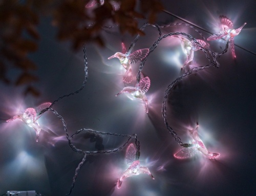 Электрогирлянда "Стайка колибри", 8 холодных белых LED-огней, 1.4 м, таймер, батарейки, Kaemingk фото 3