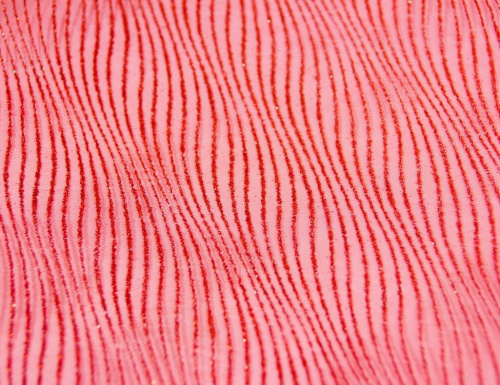 Ткань для декорирования "Мерцающий шарм" (полосы), 30х500 см, Koopman International фото 2