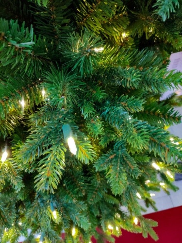 Искусственная ель "Кэррингтон" (литая хвоя PE+PVC), зелёная, тёплые белые LED-огни, National Tree Company фото 6