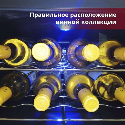 Винный шкаф Cold Vine C8-TBF1 фото 2