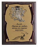 Плакетка и панно — Сова "Время не любит" сублимация, размеры: 26*20, материалы: МДФ, металл, цвета: жёлтый, коричневый