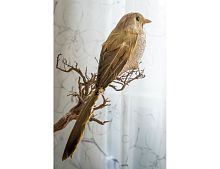 Украшение птичка ЗОЛОТАЯ АПОЛЛОНОВКА на клипсе, перо, золотая, 30 см, Kaemingk (Decoris)