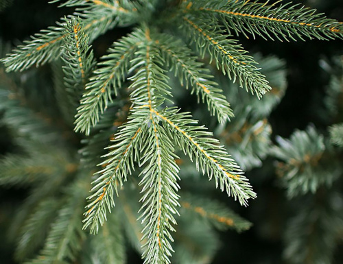 Искусственная ель Альба с встроенной гирляндой, Crystal Trees фото 2