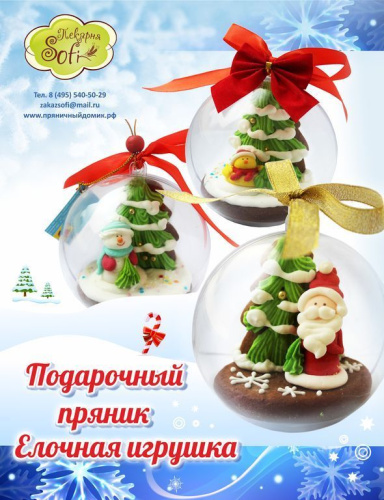 Новогодний пряник в шаре и подарочной коробке фото 2