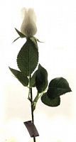 Роза Самураи белая 45 см (72 шт в упак)