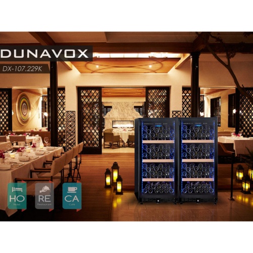 Винный шкаф Dunavox DX-107.229K