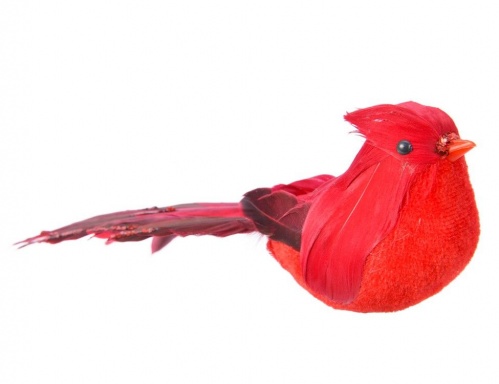 Ёлочная игрушка "Птичка кардинал" на клипсе, перо,  20x7x6 см, Kaemingk фото 3