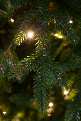 Искусственная ель Персея с вплетенной гирляндой, Crystal Trees фото 5