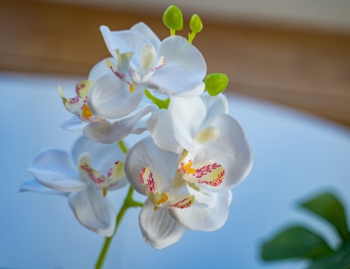 Искусственное растение в горшке "Орхидея", полиэстер, 40 см, Kaemingk фото 2