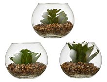 Элитное искусственное растение "Суккулент в вазочке", 10х12 см, Edelman