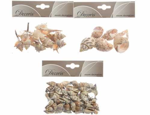 Набор для декорирования "Ракушки морские" мурексы (с шипами), натуральные, 15х12 см,, Kaemingk фото 2