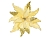 Пуансеттия МЕРЦАЮЩИЙ ВЕЛЬВЕТ на клипсе, полиэстер, светло-золотая, 28 см, Triumph Tree