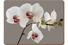 Подставки на пробке "Гармония орхидей”
