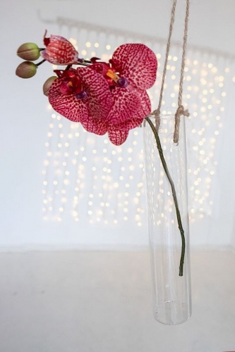 "Цветок фаленопсиса" красный, 37 см, Edelman фото 4