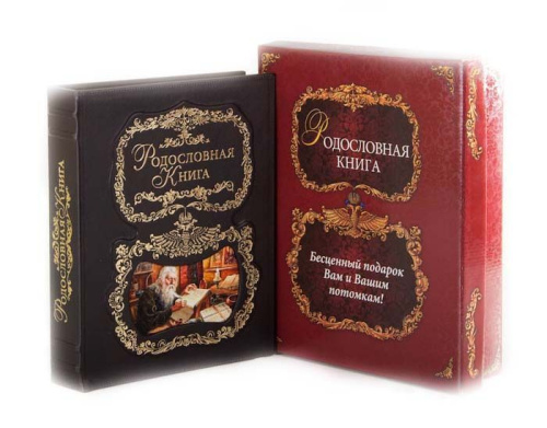 Родословная книга Летописец с картинкой в картонной коробке