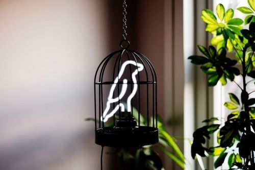 Светильник неоновый bird in a cage фото 5