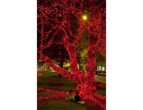 Гирлянды на дерево Клип Лайт Quality Light 60 м, 600 красных LED ламп, с мерцанием, прозрачный ПВХ, IP44, BEAUTY LED фото 2