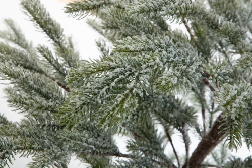 Искусственная ель БОЛЬЕРИ в снегу, Crystal Trees фото 6