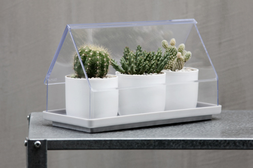 Лоток для выращивания растений micro green house прозрачный фото 9