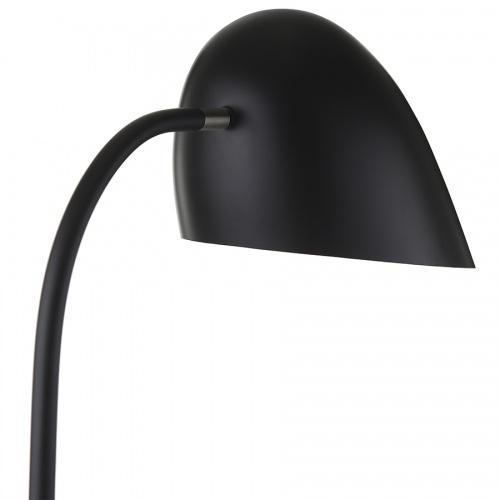 Лампа напольная hitchcock, черная матовая фото 5