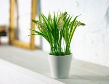 Искусственные цветы в горшке МУСКАРИ, 21 см, Koopman International