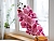 Декоративная ветка искусственная ОРХИДЕЯ,  полиэстер, розовый, 77 см, Kaemingk