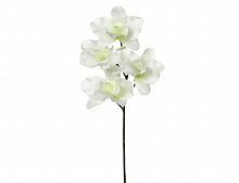 "Цветок фаленопсиса" кремовый, 26 см, Edelman