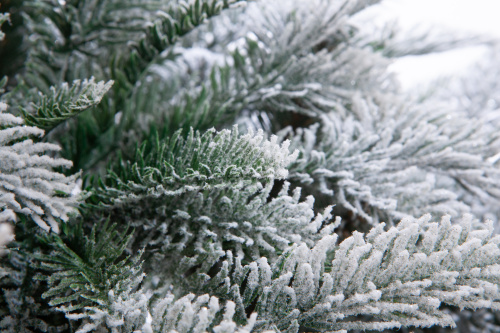 Искусственная ель Гарда заснеженная, Crystal Trees фото 8