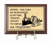 Плакетка подарочная "Жизнь - как езда на велосипеде" (сублимация) - размеры 17*12 см, материалы МДФ и металл, цвета коричневый и золотой