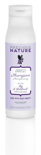 Шампунь для волос с вредными привычками SHAMPOO FOR BAD HAIR HABITS, 250 мл