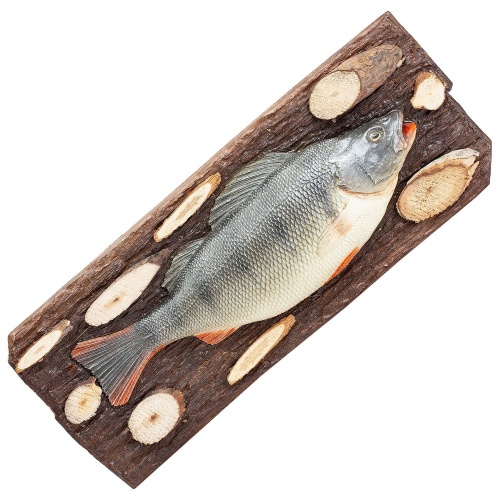 Декоративное панно на стену Окунь (подарок рыбаку, сувенир) фото 3