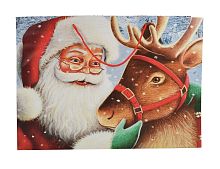 Подарочный пакет ВМЕСТЕ С САНТОЙ: ОТПРАЗДНУЕМ, бумага, 46х33 см, Due Esse Christmas