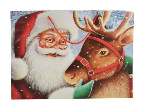 Подарочный пакет ВМЕСТЕ С САНТОЙ: ОТПРАЗДНУЕМ, бумага, 46х33 см, Due Esse Christmas