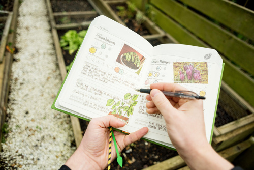 Дневник садовода my gardening, зеленый фото 5