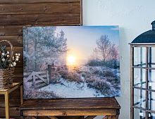 Светящаяся картина "Зимнее солнце", тёплые/холодные белые LED-огни, 58х78 см, Kaemingk
