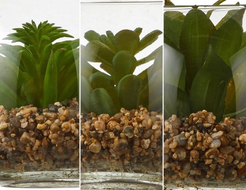 Элитное искусственное растение "Суккулент в вазочке", 10х12 см, Edelman фото 2