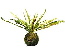 Искусственное растение подвесное "Папоротник", пластик, 35х28 см, Kaemingk