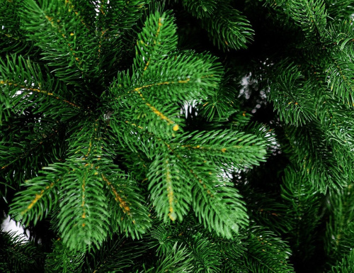 Искусственная елка Голландская Премиум, "Литая" 100% (EverChristmas) фото 3