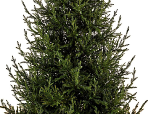 Искусственная елка Лесная Симфония 270 см, ЛИТАЯ 100%, Max CHRISTMAS в интернет-магазине VsemPodarok.com фото 2